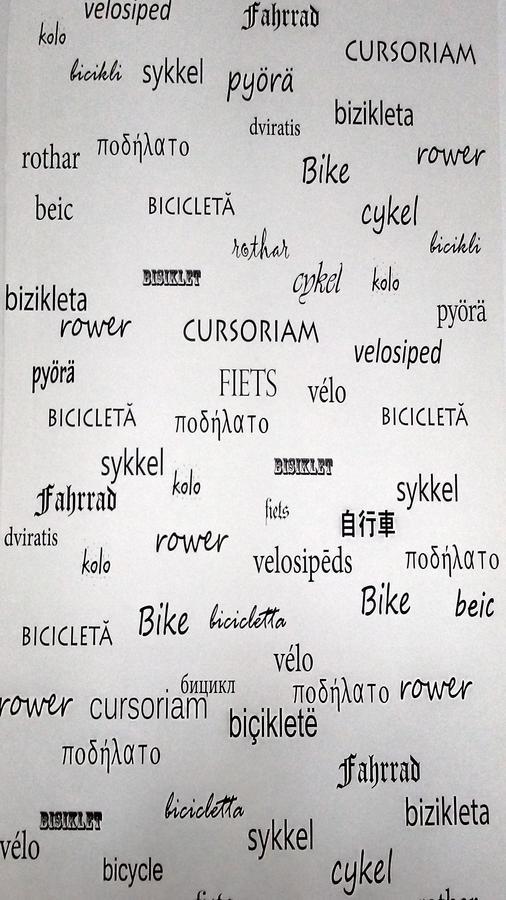 B - Bike Apartment Timisoara